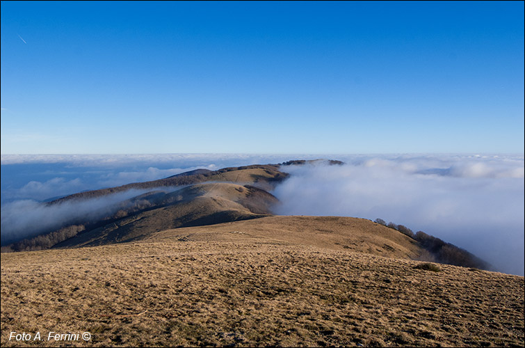 Pratomagno e nebbia