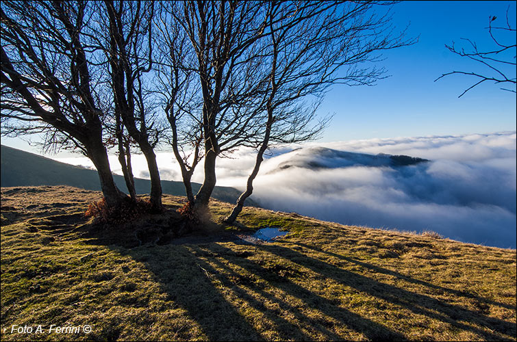 Pratomagno e nebbia