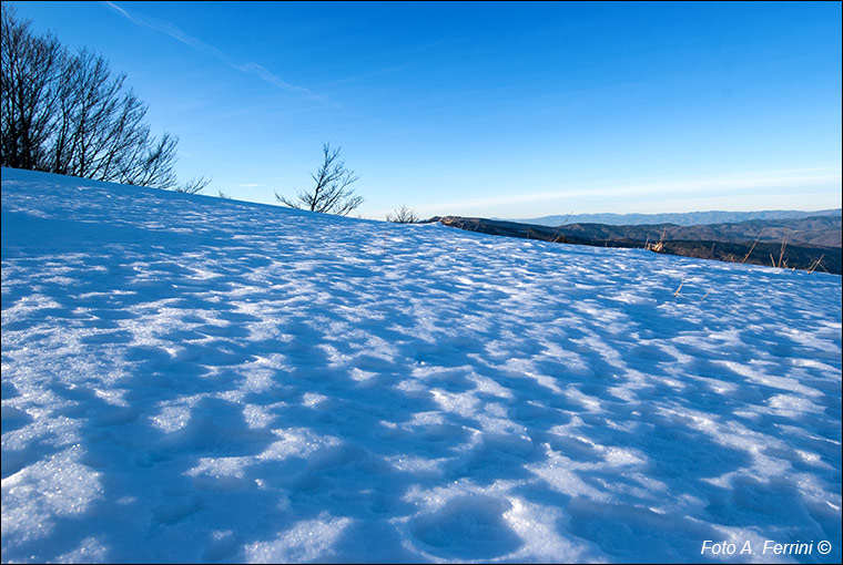 Neve in Pratomagno