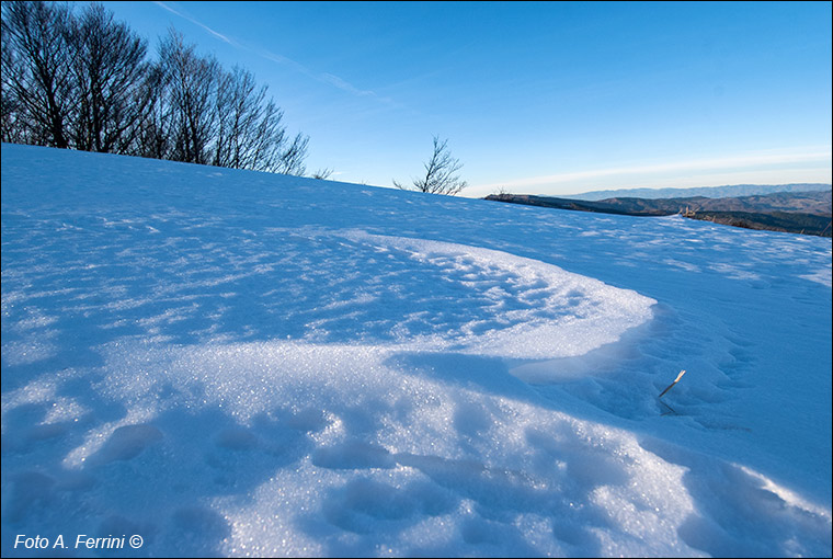 Neve in Pratomagno