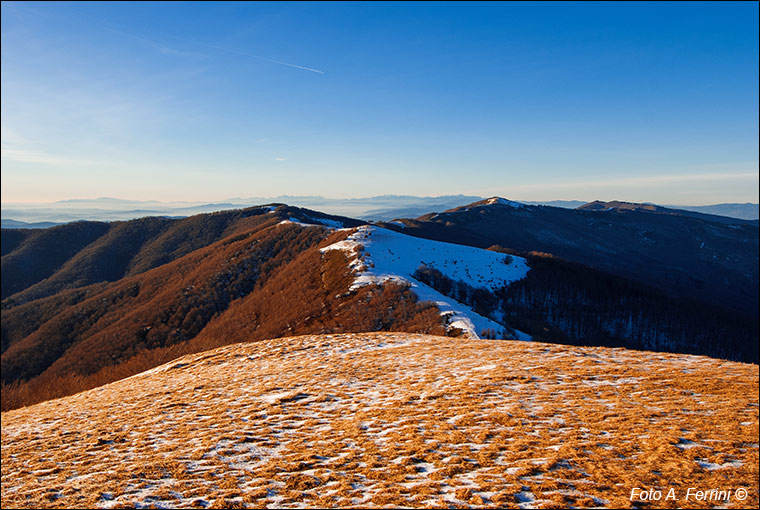 Panorama da Poggio Pianellaccio