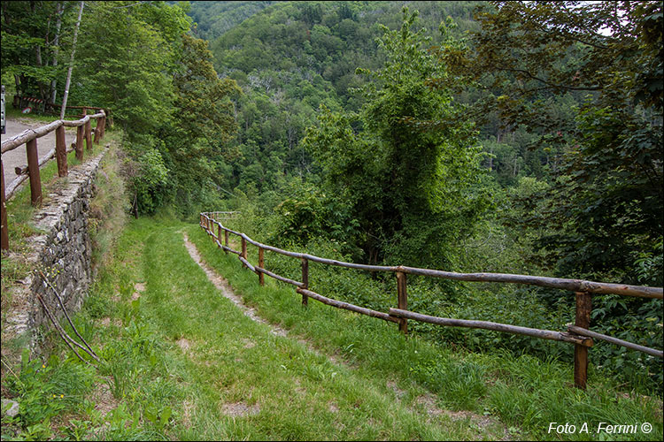 Da Rocca Ricciarda al molino