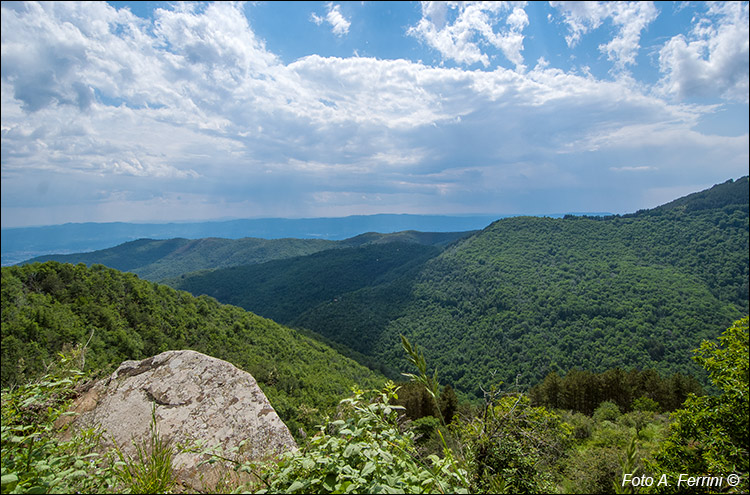 Panorami dal CAI 21