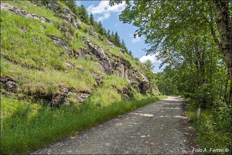 Strada panoramica del Pratomagno