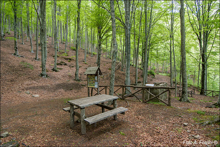 Area attrezzata Pian del Lelli