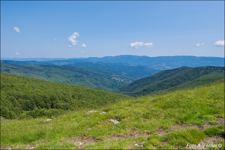 Montemignaio e Falterona