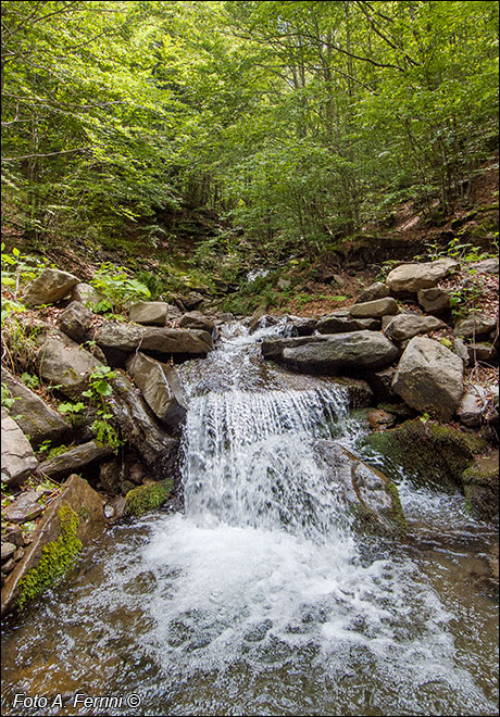 Torrente Ciuffenna