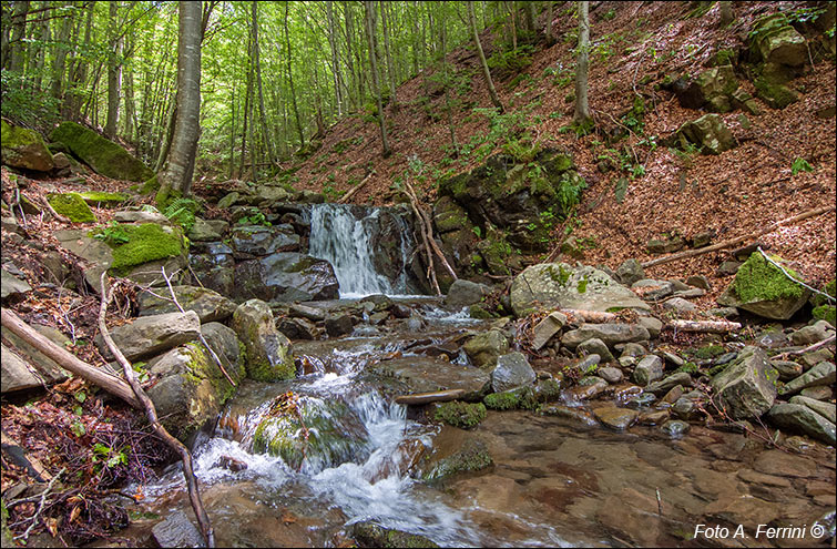 Torrente Ciuffenna