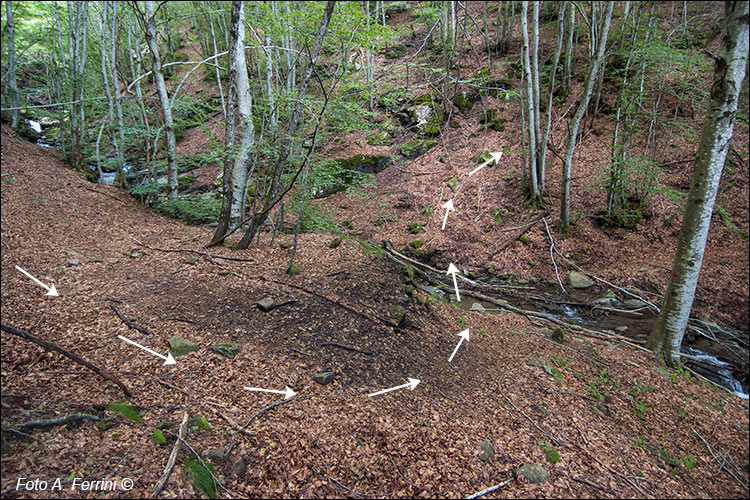 Attraversamento del torrente