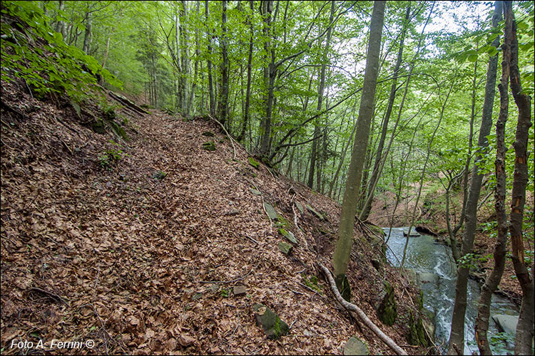 Sentiero verso Rocca Ricciarda