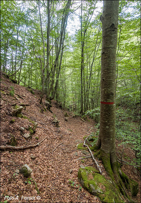 Sentiero verso Rocca Ricciarda