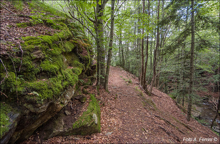 Sentiero verso Rocca Ricciarda