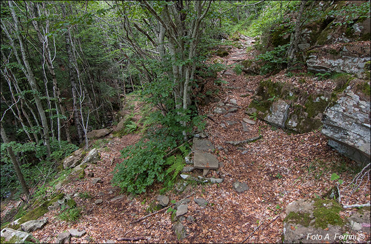 Sentiero verso Rocca Ricciarda