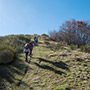 Poggio alla Cesta, Pratomagno