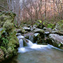 Torrente Barbozzaia