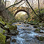 Torrente Montemignaio