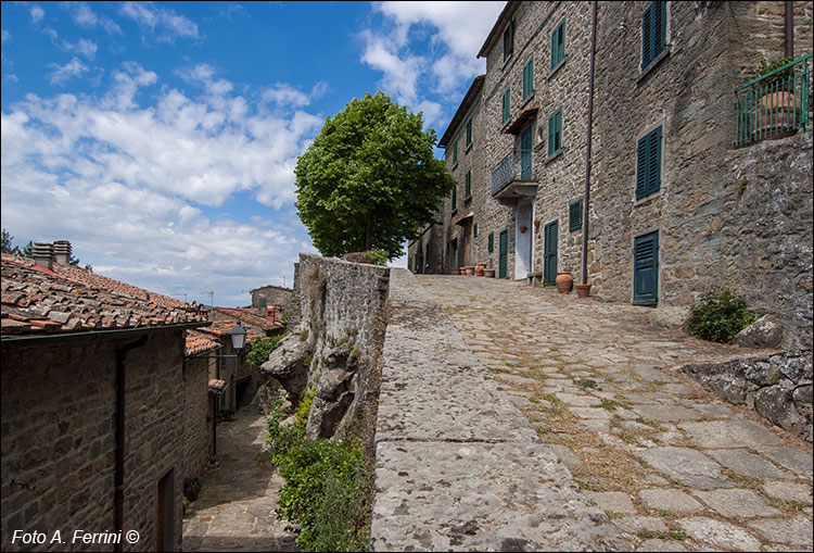 Castello di Trappola