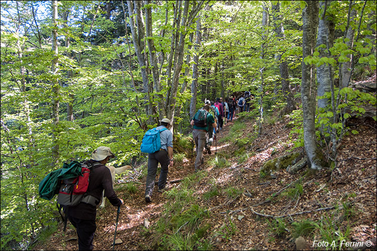 Escursionisti in Pratomagno 