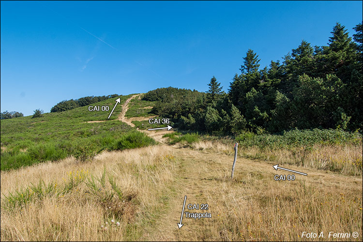 Passo sul Pratomagno 