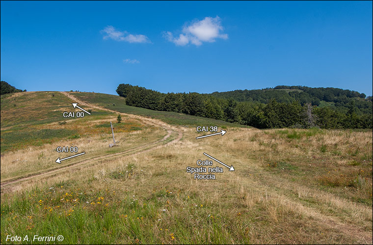 Incrocio sul crinale 