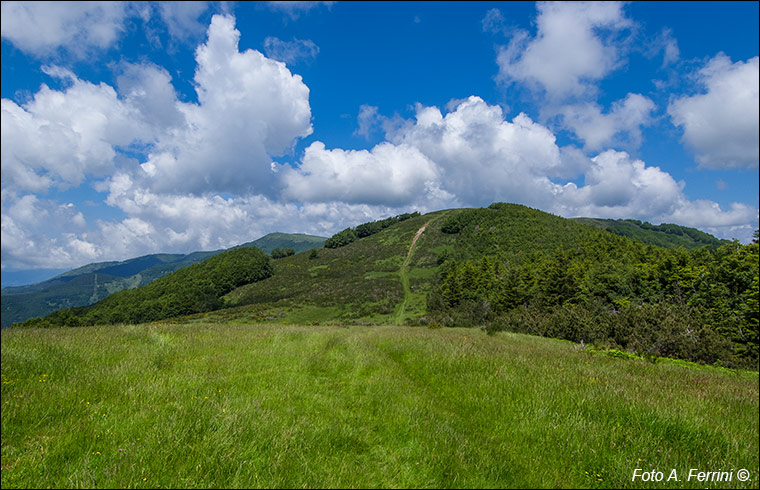 Cima Bottigliana 