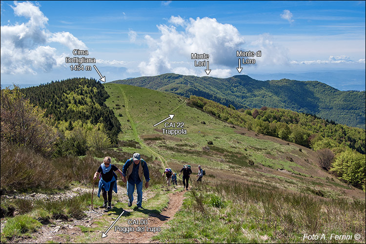 Verso Poggio del Lupo 