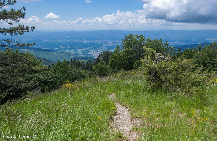 Panorama sul Valdarno