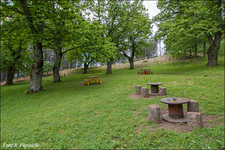 Bosco Magico, Pratomagno