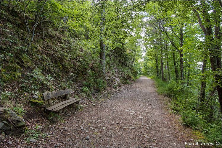 CAI 23 Tre Fonti Trappola