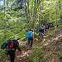 Escursionisti in Pratomagno 
