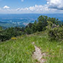 Panorama sul Valdarno