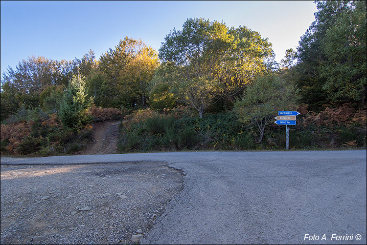 Arrivo sulle panoramica