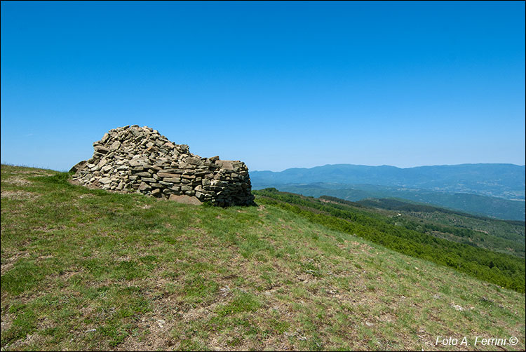 Uomo di Sasso, Pratomagno