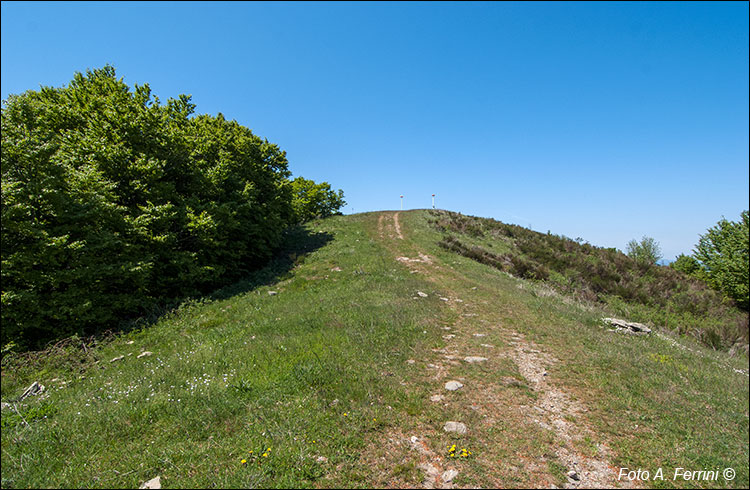 Poggio Tre Confini