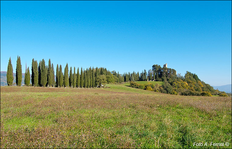 Viale del Castello di Romena