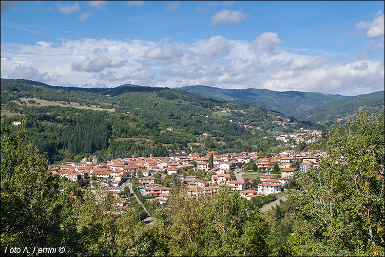 Vista panoramica di Pratovecchio