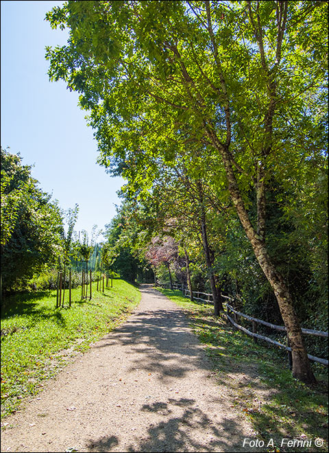 Pratovecchio, ciclopista dell'Arno