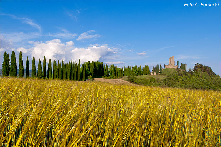 Pratovecchio Stia, territorio comunale