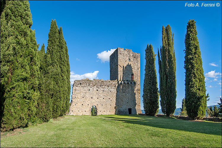 Pratovecchio Stia, territorio comunale