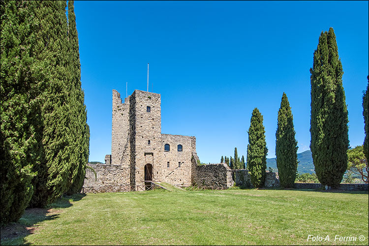 Pratovecchio Stia, territorio comunale