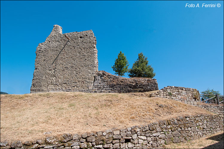 Pratovecchio Stia, territorio comunale