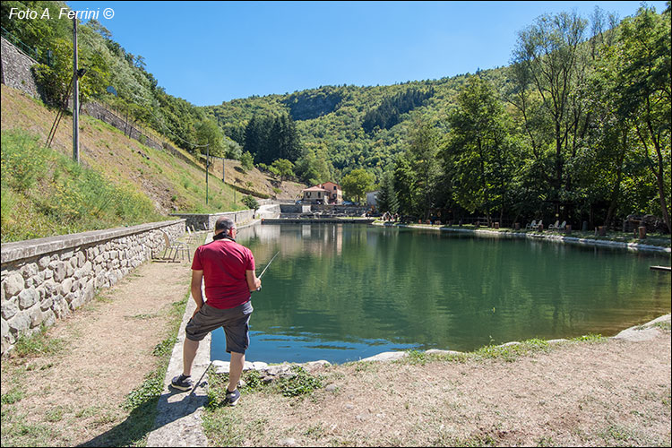 Pratovecchio Stia, territorio comunale