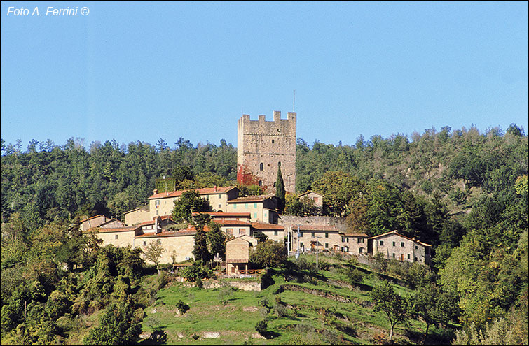 Pratovecchio Stia, territorio comunale