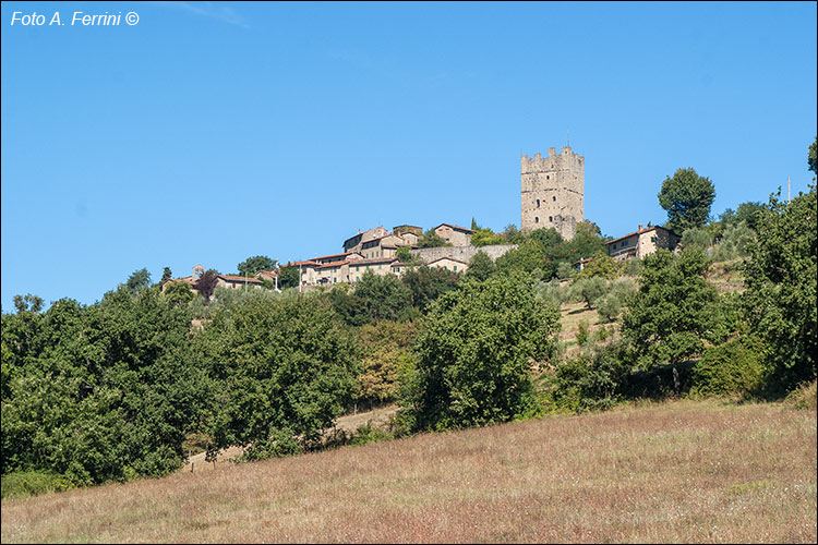 Pratovecchio Stia, territorio comunale