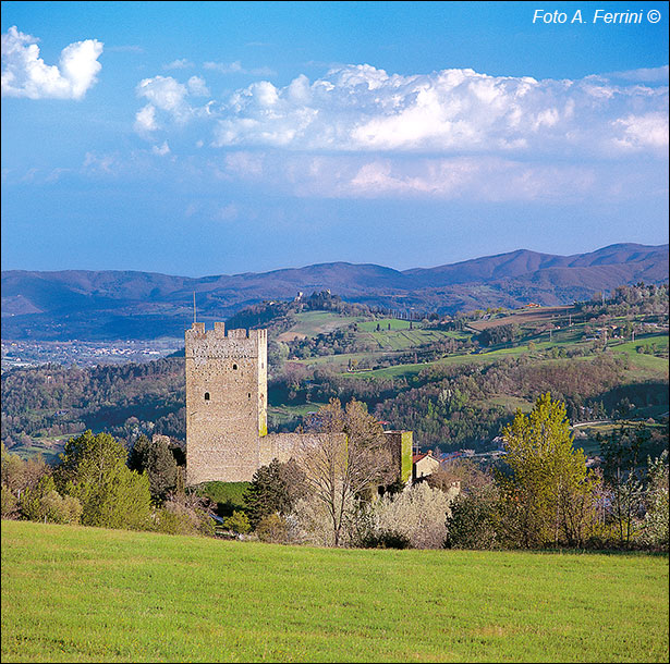 Pratovecchio Stia, territorio comunale