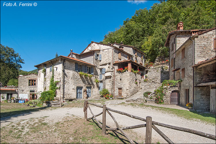 Pratovecchio Stia, territorio comunale