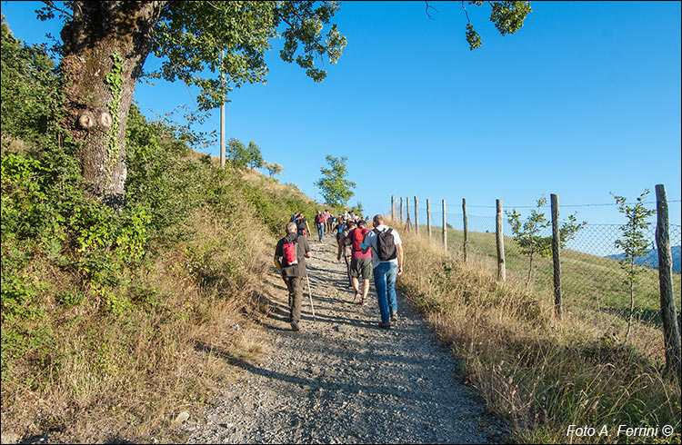 Pratovecchio Stia, territorio comunale