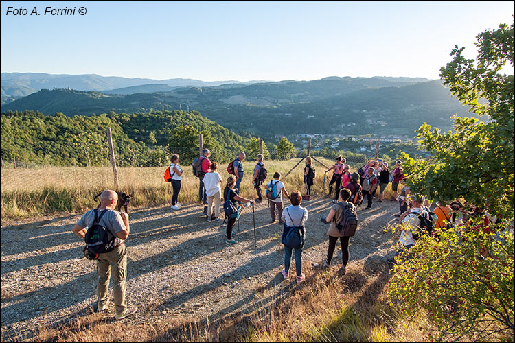 Pratovecchio Stia, territorio comunale