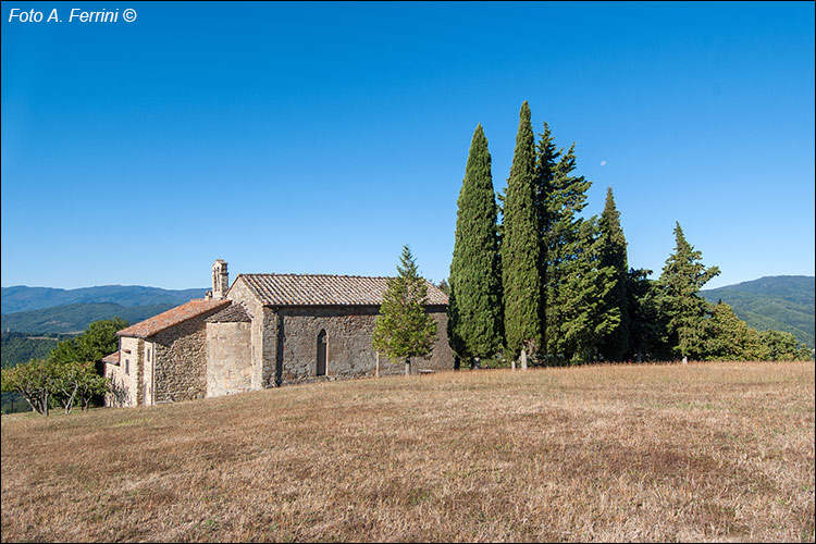 Pratovecchio Stia, territorio comunale