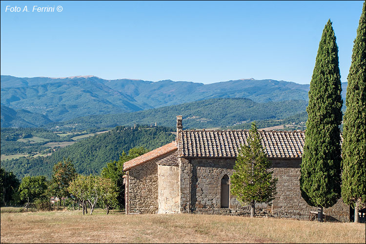 Pratovecchio Stia, territorio comunale